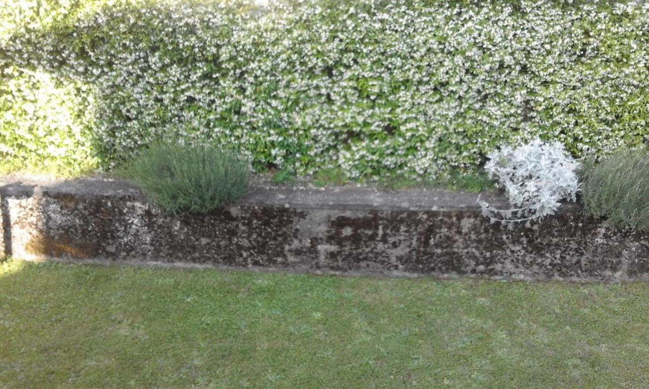 Villa Romolina Coreglia Antelminelli Eksteriør bilde